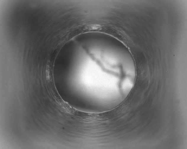 X0000068851442200605121357