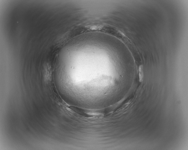 X0000068851443200605121357