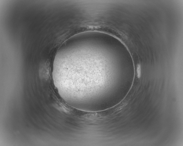 X0000068851444200605121357