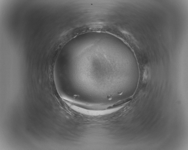 X0000068851445200605121357