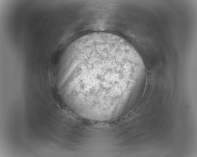 X0000068851446200605121357