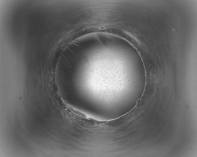 X0000068851447200605121357