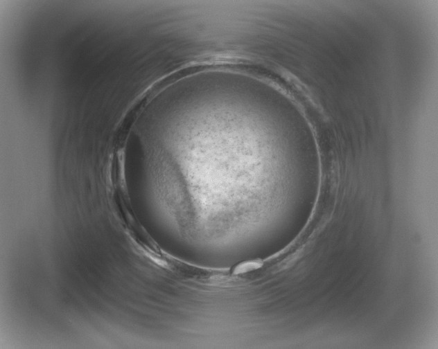 X0000068851449200605121357