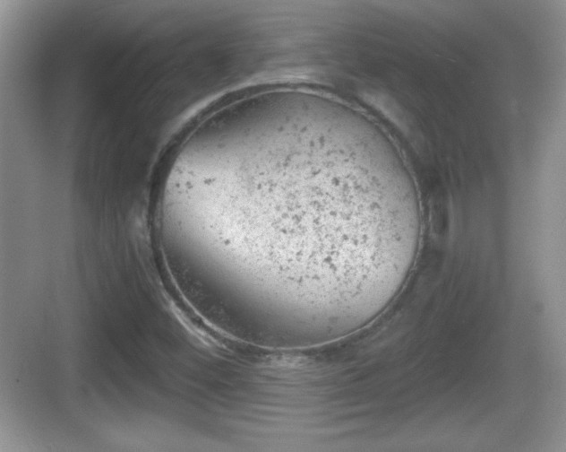 X0000068851452200605121357