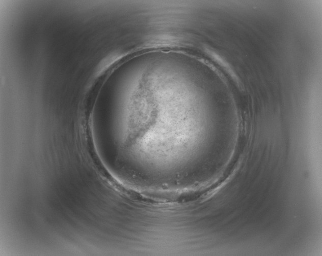 X0000068851453200605121357