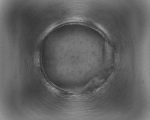 X0000068851455200605121357