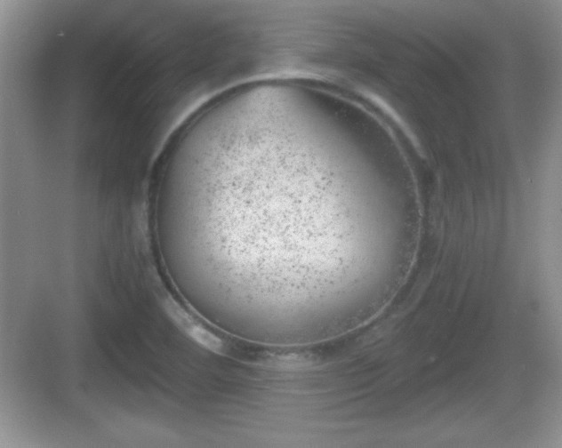 X0000068851460200605121357