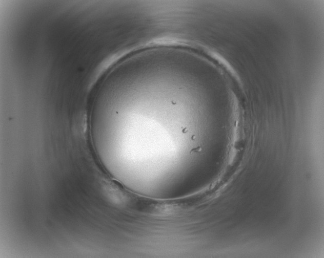 X0000068851461200605121357