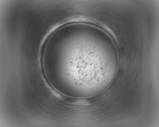 X0000068851464200605121357