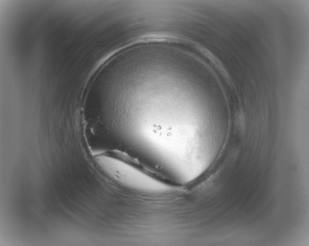 X0000068851465200605121357