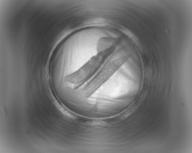 X0000068851466200605121356