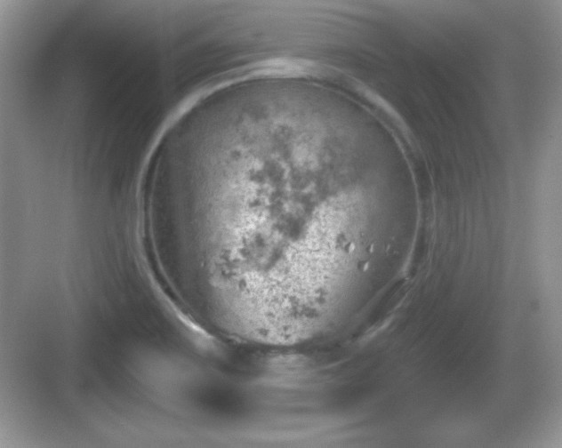 X0000068851467200605121356