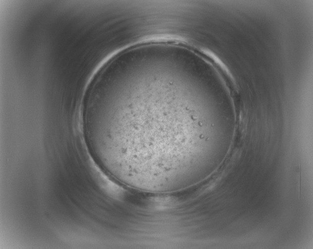 X0000068851468200605121356