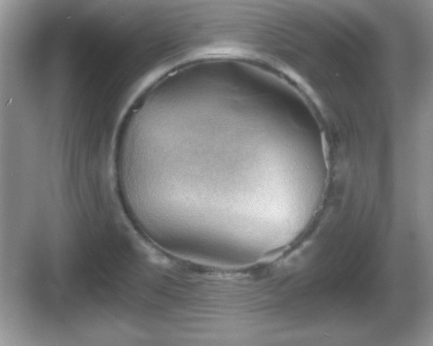 X0000068851469200605121356