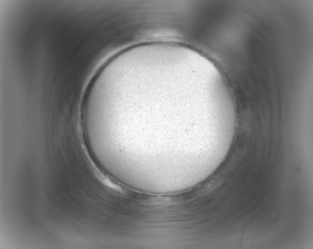 X0000068851470200605121356