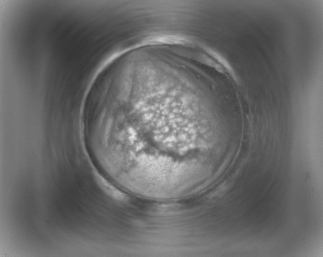 X0000068851471200605121356