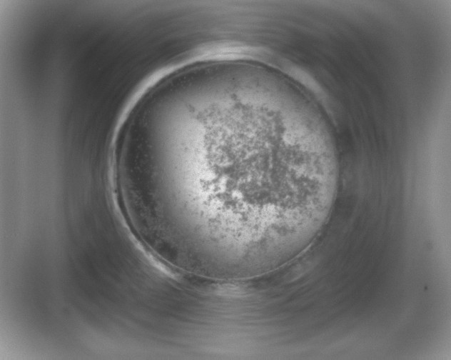 X0000068851472200605121356