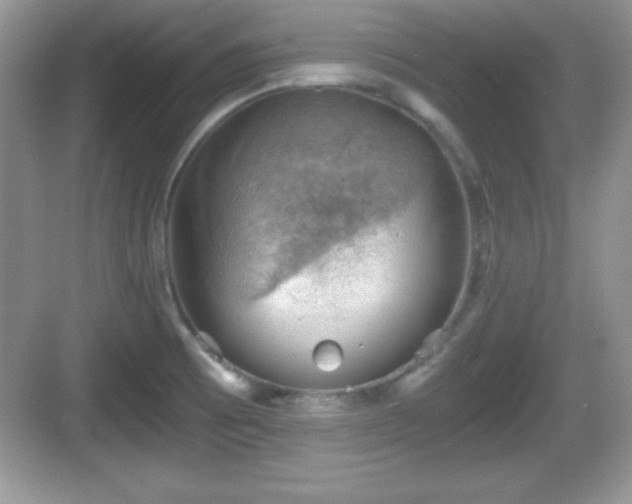 X0000068851473200605121356