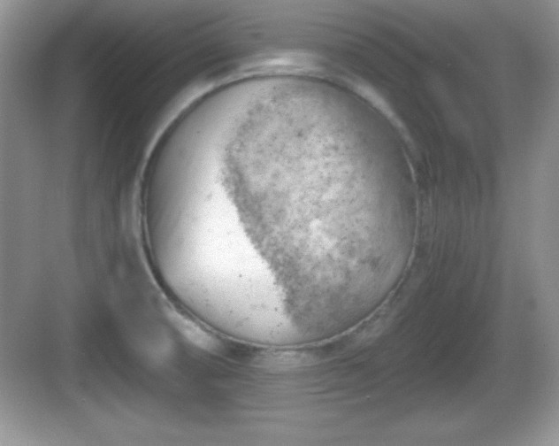 X0000068851474200605121356