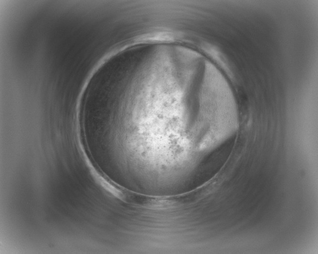 X0000068851475200605121356