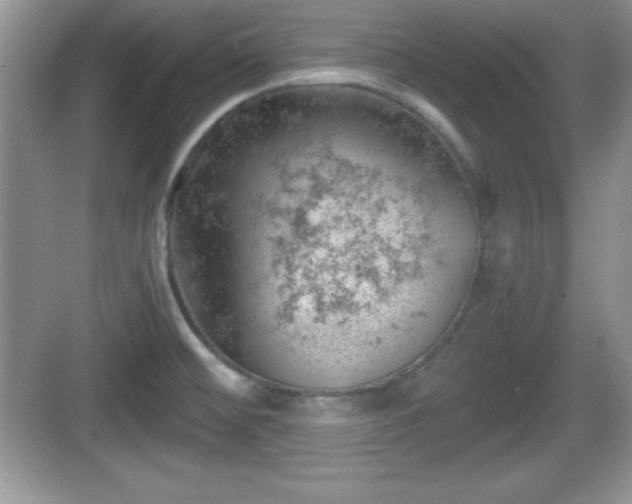 X0000068851476200605121356