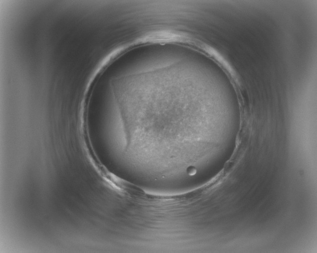 X0000068851477200605121356