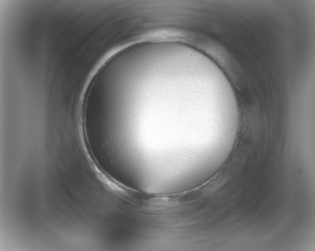 X0000068851478200605121356