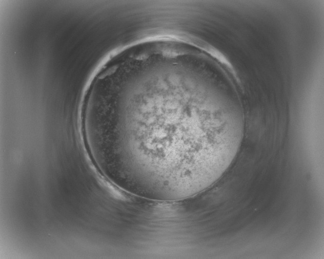 X0000068851480200605121356