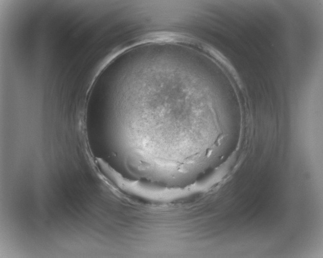 X0000068851481200605121356