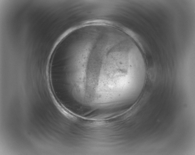 X0000068851482200605121356