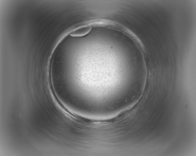 X0000068851483200605121356