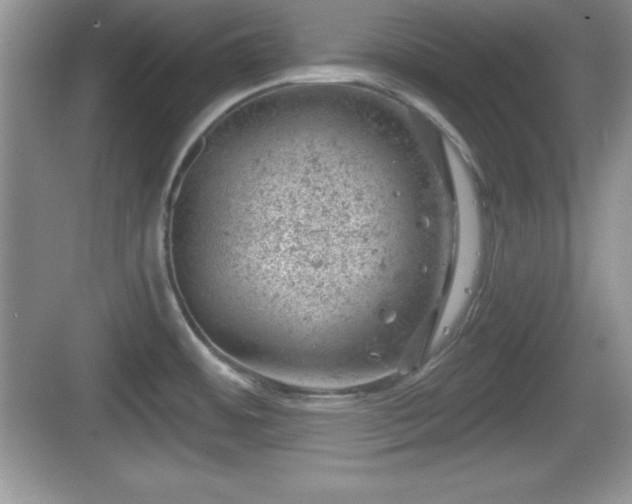 X0000068851484200605121356