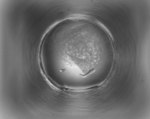 X0000068851485200605121356