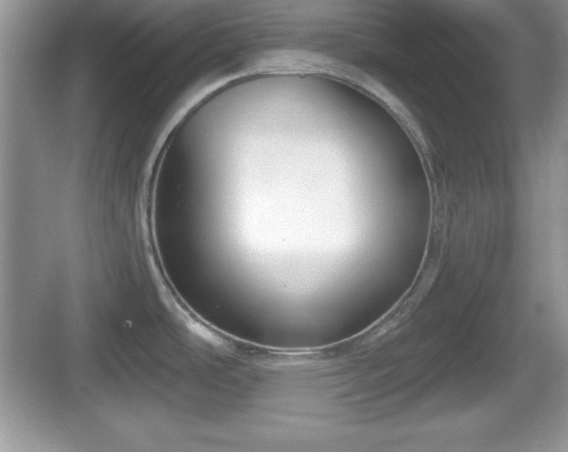 X0000068851486200605121356