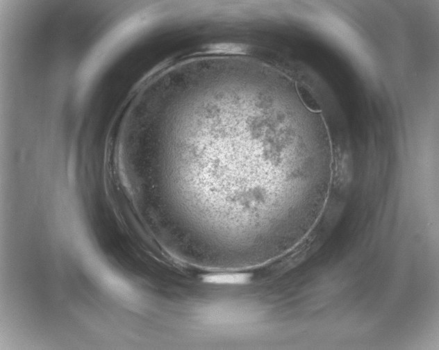 X0000068851487200605121356