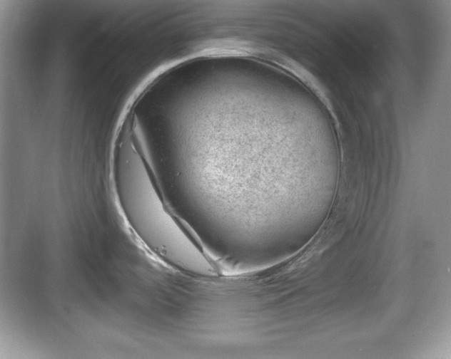 X0000068851488200605121356