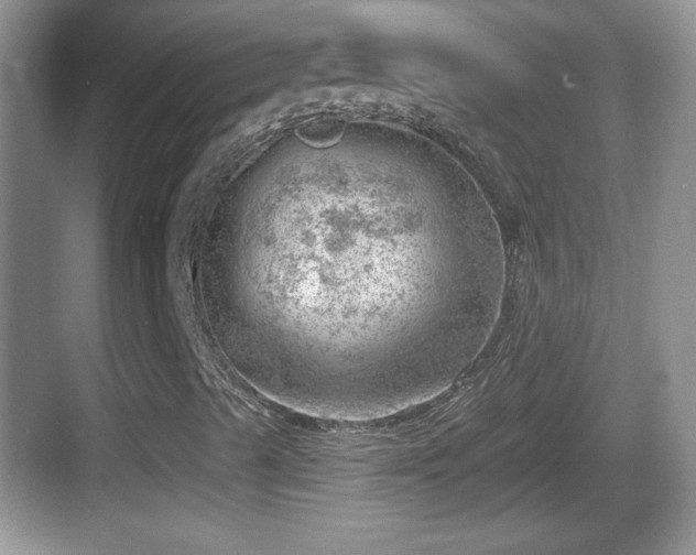 X0000068851489200605121355