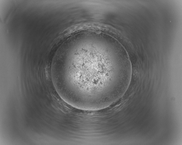 X0000068851490200605121355