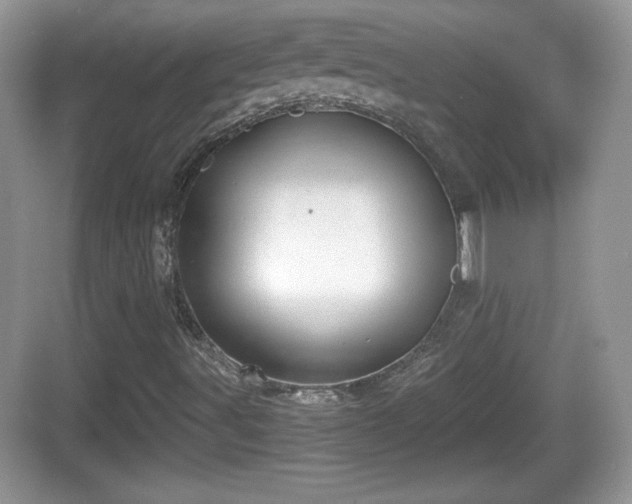 X0000068851491200605121355