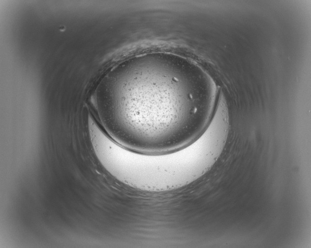 X0000068851492200605121355