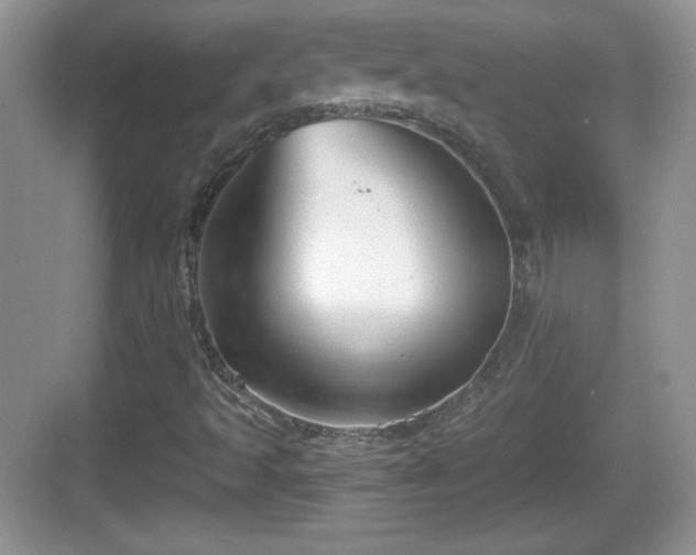 X0000068851493200605121355