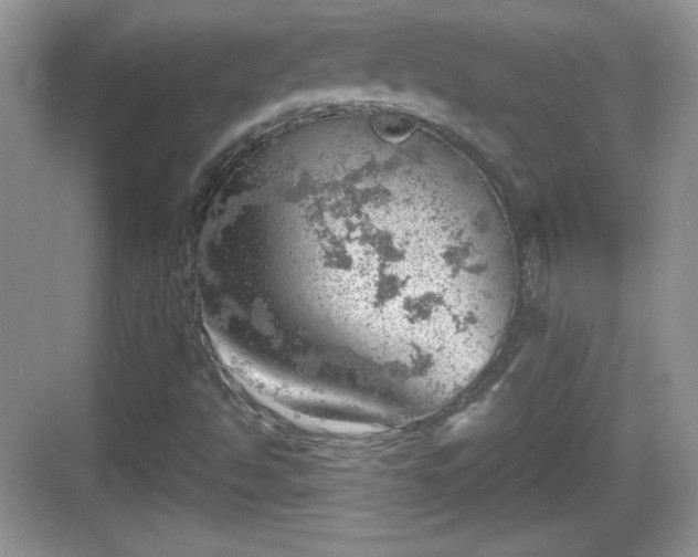 X0000068851494200605121355