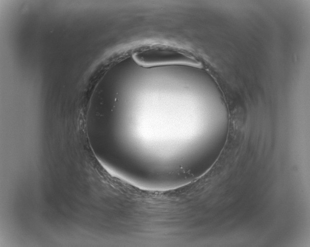 X0000068851495200605121355