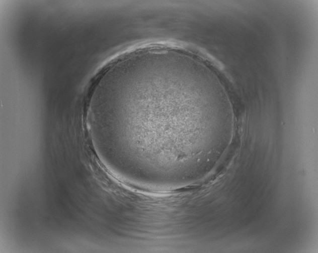 X0000068851496200605121355