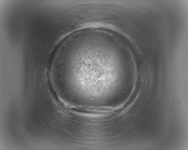 X0000068851497200605121355