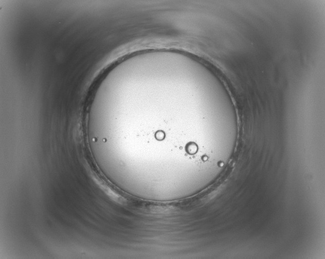 X0000068851498200605121355