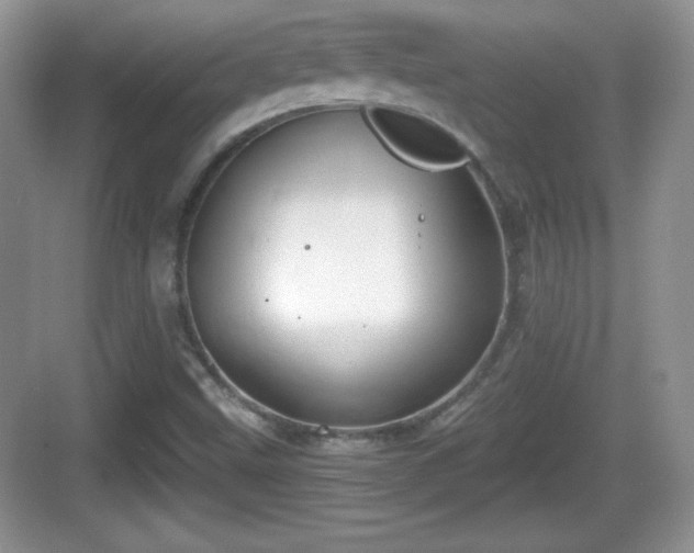 X0000068851499200605121355