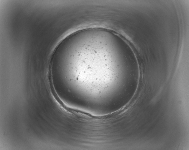 X0000068851500200605121356