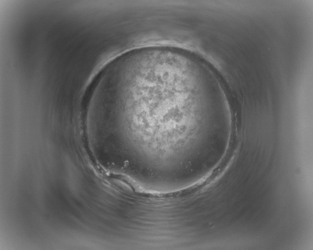 X0000068851501200605121356