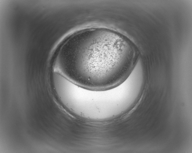 X0000068851502200605121356